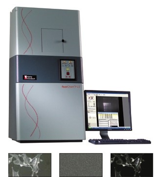 FluorChem®FC2化学发光/荧光/可见光凝胶成像分析系统