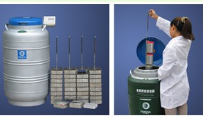 YDS-30B系列储存运输两用液氮罐
