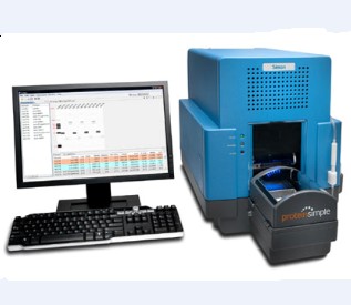 Simon全自动蛋白质表达分析系统
